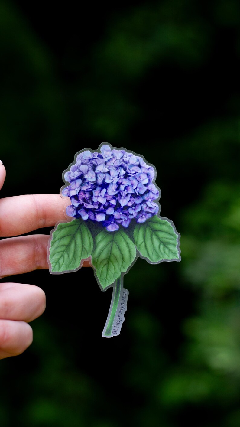 Puede incluir: Una pegatina transparente con una flor de hortensia morada con hojas verdes. La pegatina tiene el texto "@thegraymuse" en el tallo.