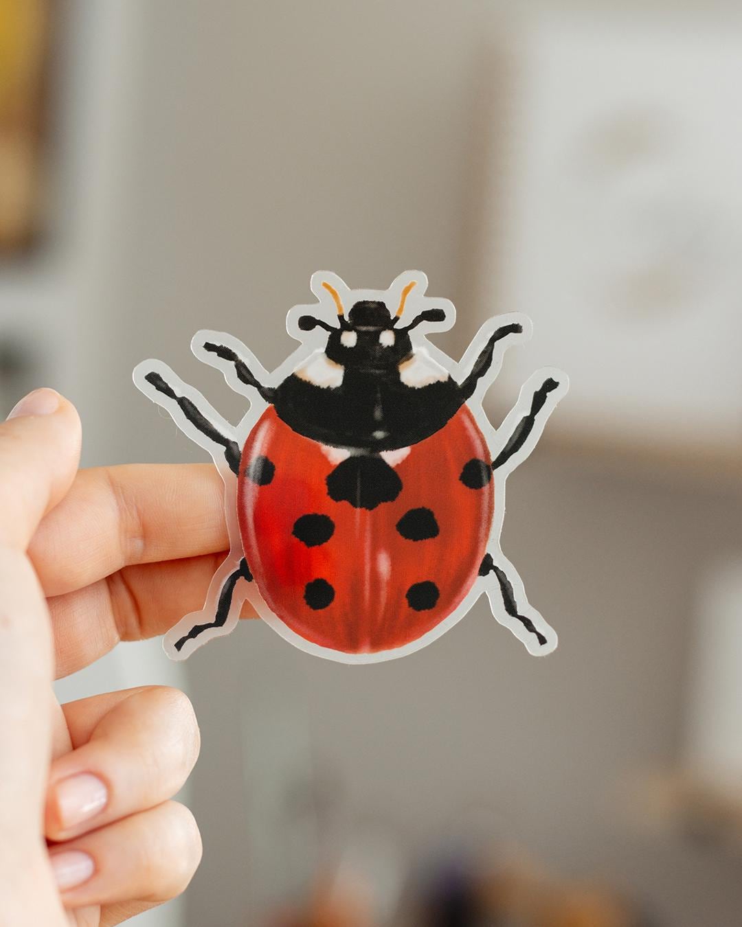 Ladybug Clear Matte Sticker, Nature Lover Gift, Laptop Decal - Etsy