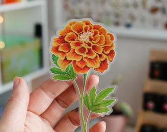 Marigold Floral Clear Matte Sticker, Gardener Gift