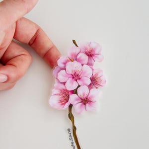 桜の花柄マットステッカー、桜の花のアクセサリー、自然愛好家向けジュエリーギフト、植物ステッカー、庭師向けアクセサリー
