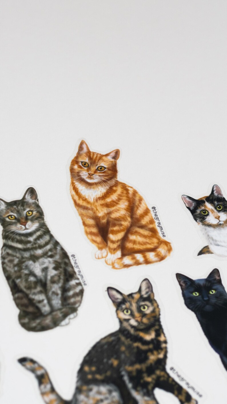 RETIRING Brown Tabby Cat Matte Sticker, Pet Lover Gift image 8