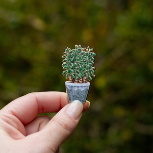 Puede incluir: Una planta suculenta verde en una maceta gris con un borde dorado. La planta es una planta de interior popular y se utiliza a menudo en arreglos decorativos.