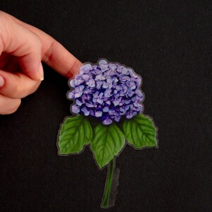 Puede incluir: Una pegatina transparente con una flor de hortensia morada con hojas verdes y un tallo.