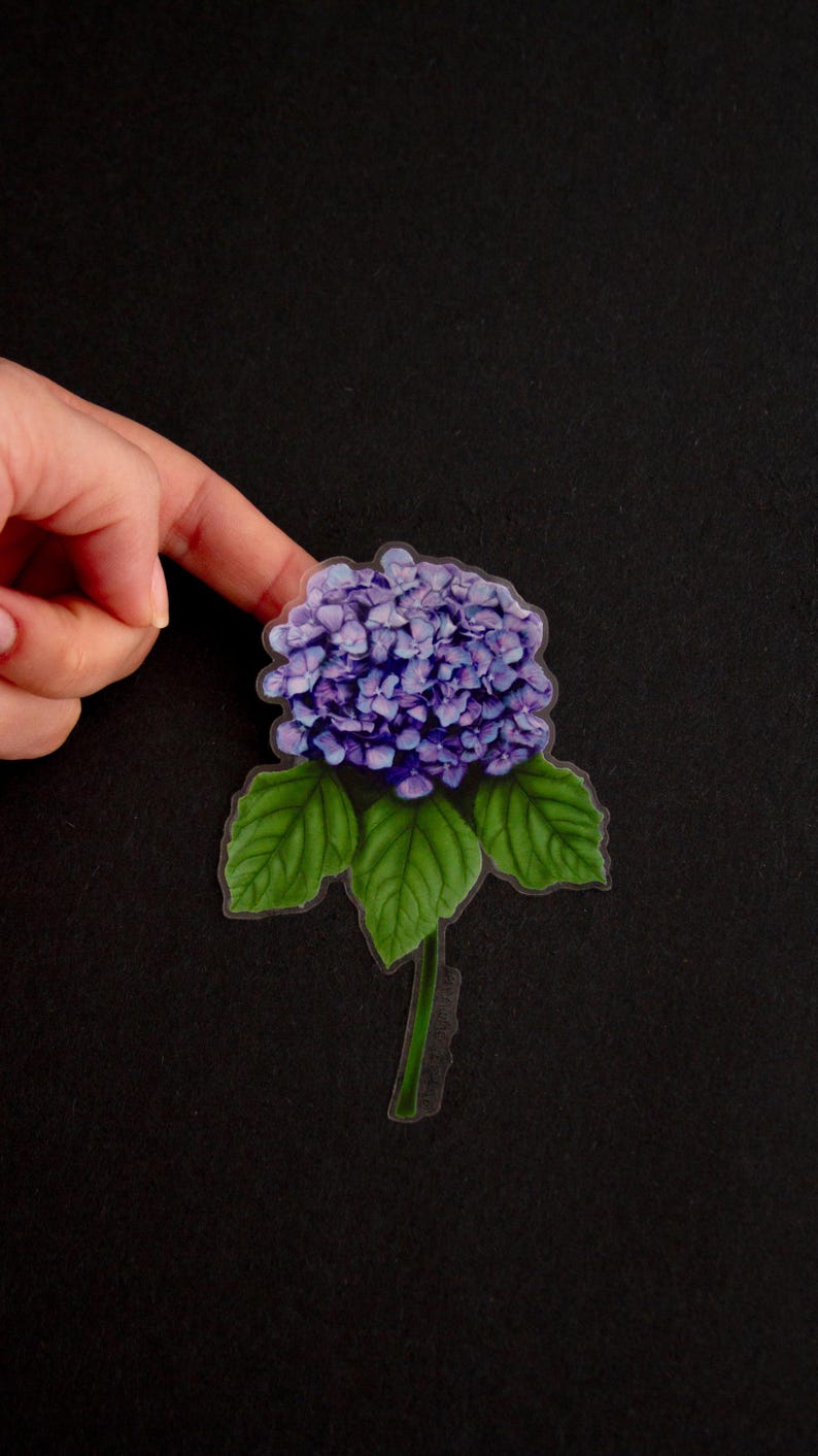 Puede incluir: Una pegatina transparente con una flor de hortensia morada con hojas verdes y un tallo.