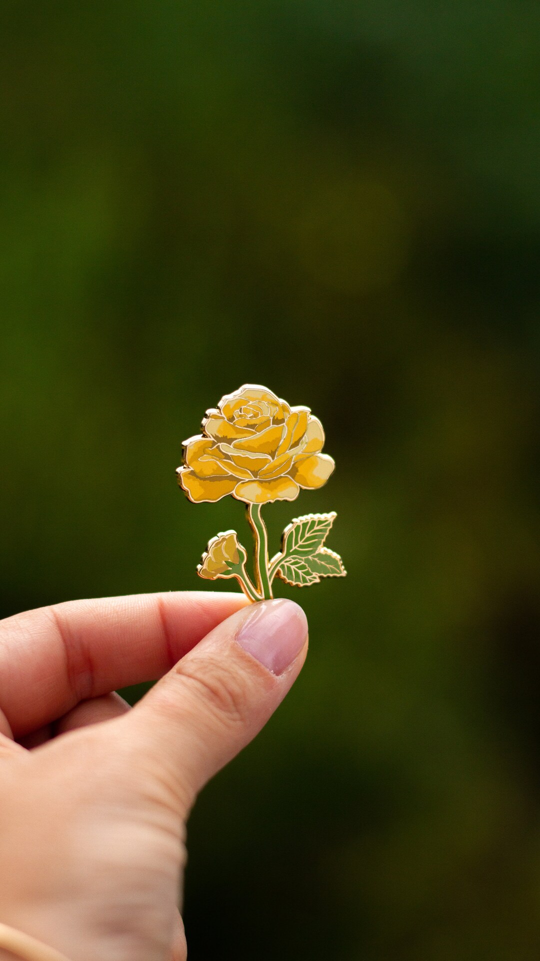 20+ What Flower Means Friendship
