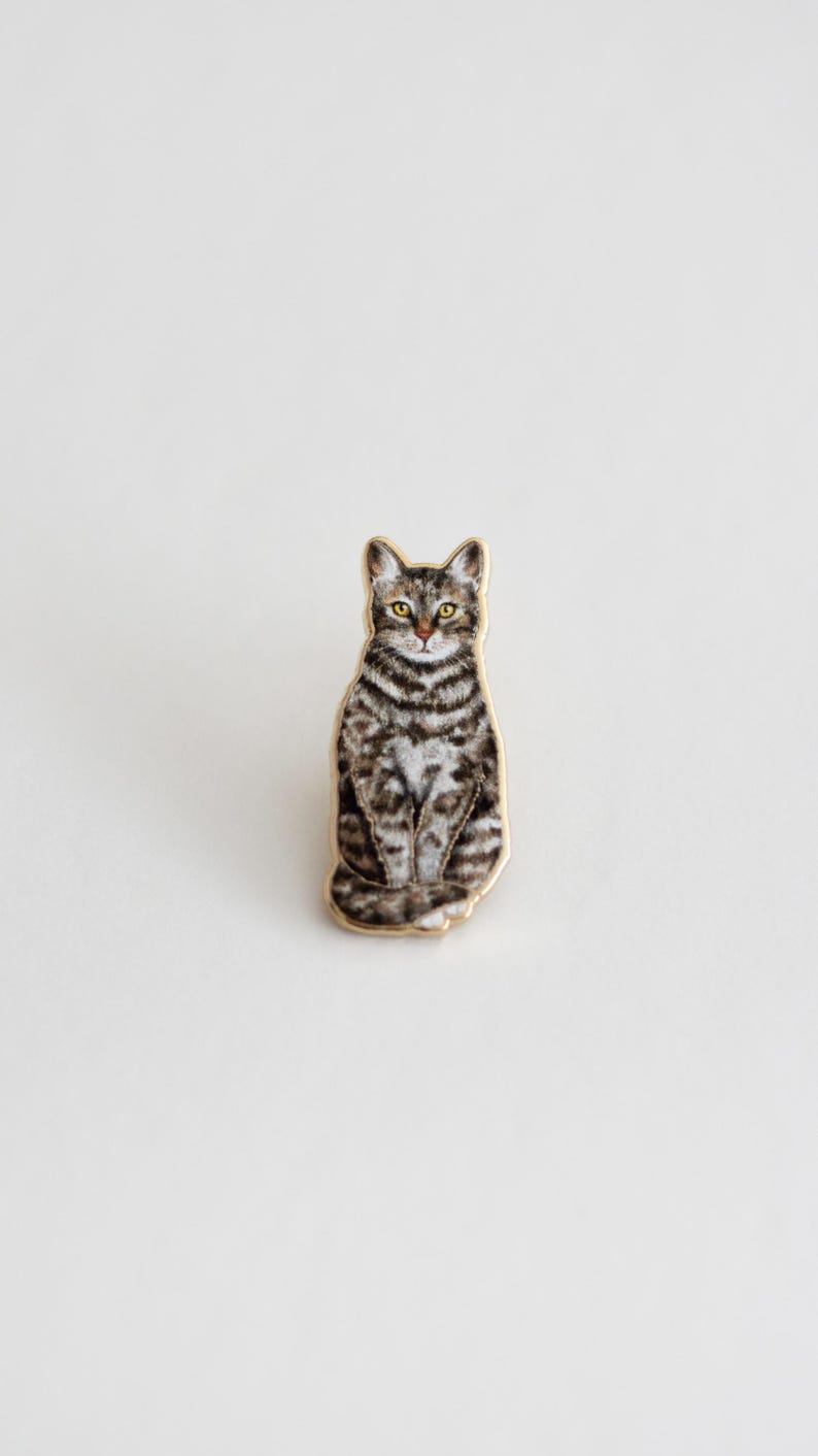 May include: A gold-toned pin featuring a detailed illustration of a tabby cat sitting with its paws tucked in. The cat has brown and white stripes and yellow eyes.