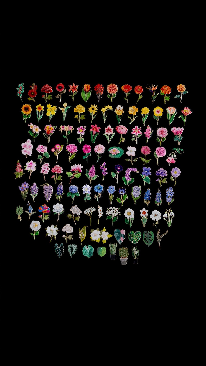 May include: A collection of colourful floral and botanical illustrations on a black background. The image features a variety of flowers, including roses, sunflowers, and lilies, along with several types of leaves and potted plants.