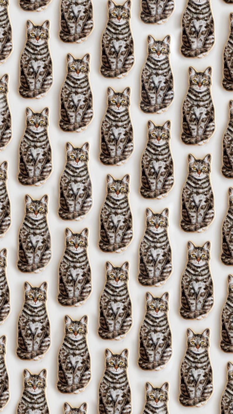 May include: A repeating pattern of brown and white tabby cat illustrations on a white background. Each cat is sitting with its paws tucked in and looking directly at the viewer.