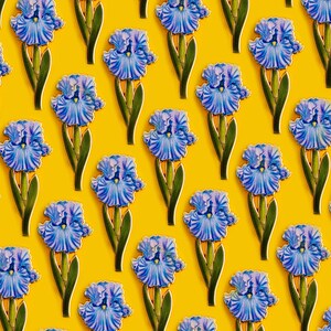 May include: A repeating pattern of blue iris flowers on a yellow background. The flowers are stylized and have a vintage look.