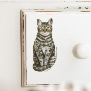 May include: A white drawer with a gray and white tabby cat illustration. The drawer has a white knob and the text "@thegraymuse" is printed on the right side of the image.