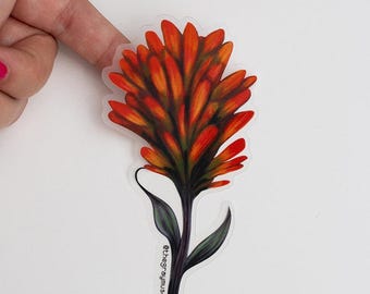 May include: A clear sticker with a detailed illustration of a red and orange Indian Paintbrush flower. The flower is on a green stem with leaves. The sticker has the text "@thegraymuse" at the bottom.