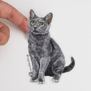 Puede incluir: Un gato gris con ojos verdes está sentado con la cola enroscada alrededor de su cuerpo. El gato está mirando directamente a la cámara. La imagen es una pegatina con el texto "@thegraymuse" en la esquina inferior izquierda.
