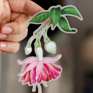 May include: A clear sticker with a pink and white fuchsia flower with green leaves. The sticker has the text "@thegraymuse" on it.