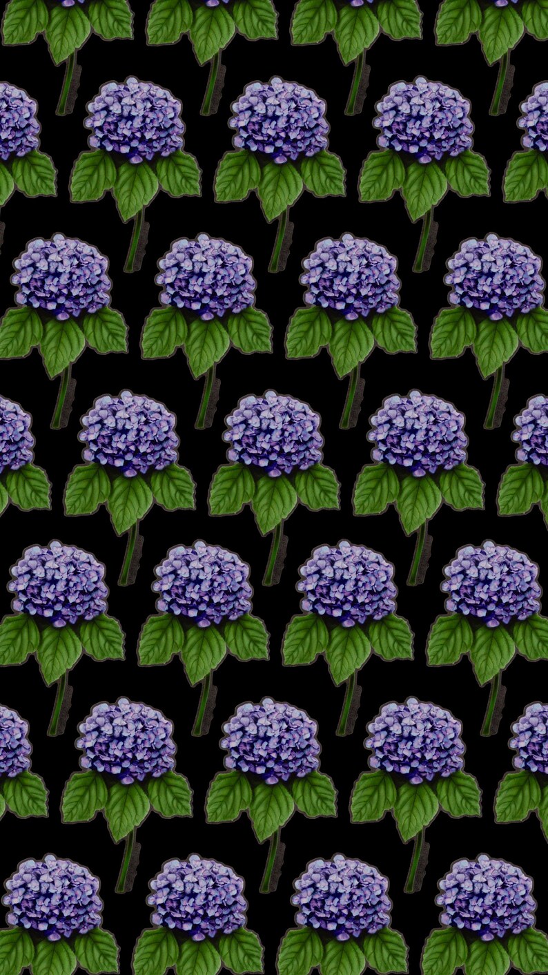 Puede incluir: Un patr&oacute;n sin costuras de flores de hortensias moradas con hojas verdes sobre un fondo negro.