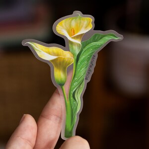 May include: A sticker featuring a detailed illustration of two calla lilies with yellow and white petals, green stems, and leaves. The sticker has a transparent border and the text "@thegraymuse" is visible.