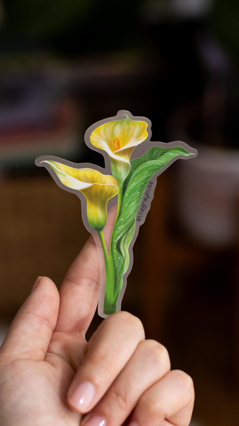 May include: A sticker featuring a detailed illustration of two calla lilies with yellow and white petals, green stems, and leaves. The sticker has a transparent border and the text "@thegraymuse" is visible.