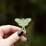 Insect Accessories