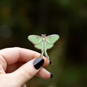 May include: A green and gold enamel pin of a luna moth with a detailed design.