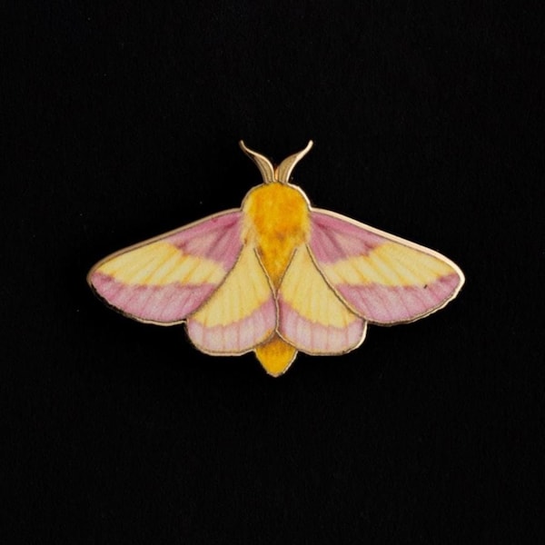 Rosy Maple Moth Enamel Pin