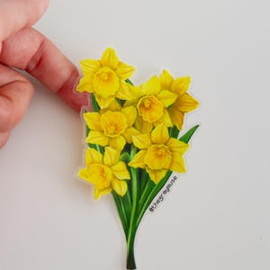 K&ouml;nnte beinhalten: Ein Strau&szlig; gelber Narzissen mit gr&uuml;nen Bl&auml;ttern. Die Blumen sind in einer Traube angeordnet und die Stiele sind zusammengebunden. Das Bild enth&auml;lt den Text "@thegraymuse".