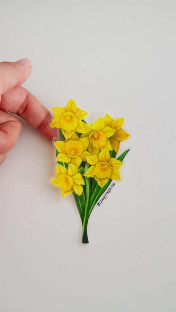 Jonquil Flower Clear Sticker, March Birth Flower, Yellow Floral Decal