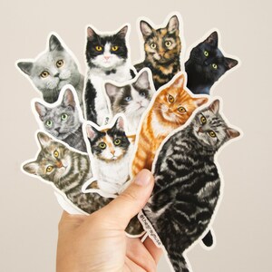RETIRING Brown Tabby Cat Matte Sticker, Pet Lover Gift image 5