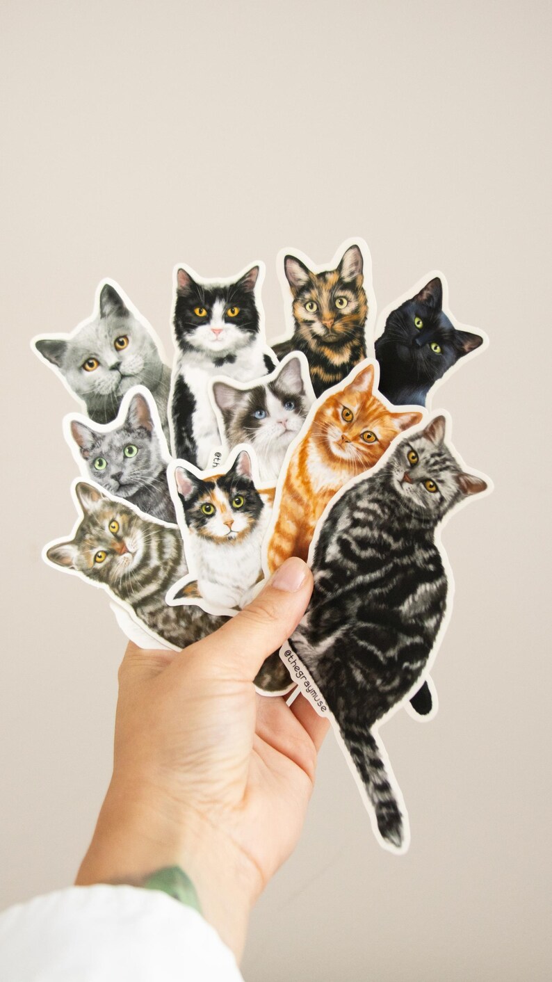 RETIRING Brown Tabby Cat Matte Sticker, Pet Lover Gift image 5