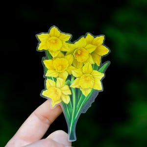 K&ouml;nnte beinhalten: Ein transparenter Aufkleber mit einem Strau&szlig; gelber Narzissen. Der Aufkleber befindet sich auf einem Finger.