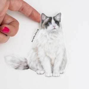 Ragdoll Cat Matte Sticker, Cute Pet Stickers, White Kitty Gifts, Animal Lover Gift, Laptop Decal, Waterbottle Sticker, Kitten Accessory