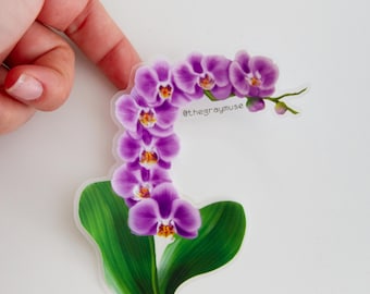 Puede incluir: Una pegatina con una orquídea morada con centros amarillos y hojas verdes. La pegatina tiene el texto "@thegraymuse" y está sujeta por una mano sobre un fondo blanco. La orquídea está en plena floración.