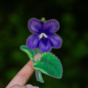 May include: A purple and green flower sticker with a clear background. The flower has five petals and a white center. The leaves are green and have a detailed vein pattern.