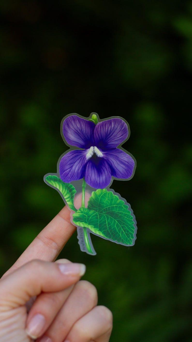 May include: A purple and green flower sticker with a clear background. The flower has five petals and a white center. The leaves are green and have a detailed vein pattern.