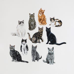 RETIRING Brown Tabby Cat Matte Sticker, Pet Lover Gift image 7