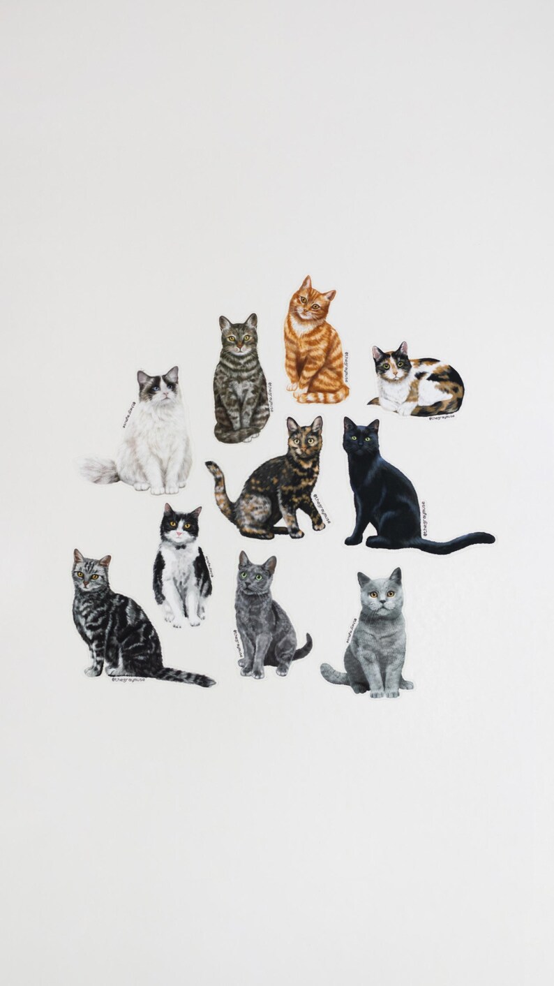 RETIRING Brown Tabby Cat Matte Sticker, Pet Lover Gift image 7