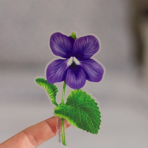 May include: A clear sticker with a purple violet flower with green leaves. The sticker has the text "@thegraymuse" on the stem.