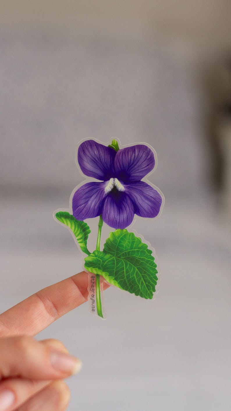 May include: A clear sticker with a purple violet flower with green leaves. The sticker has the text "@thegraymuse" on the stem.