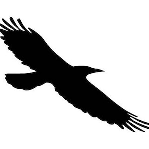 May include: Silhouette of a black crow in flight with wings spread wide.