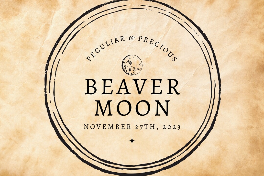 2023 November Beaver Full Moon in Gemini Simmer Pot Spell - Etsy