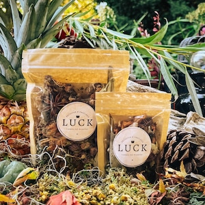 May include: Two small brown paper bags filled with dried herbs and spices. The bags have a white circular label with the text "Peculiar & Precious LUCK Simmer Pot Wishing" on them. The bags are sitting on a bed of moss and leaves.