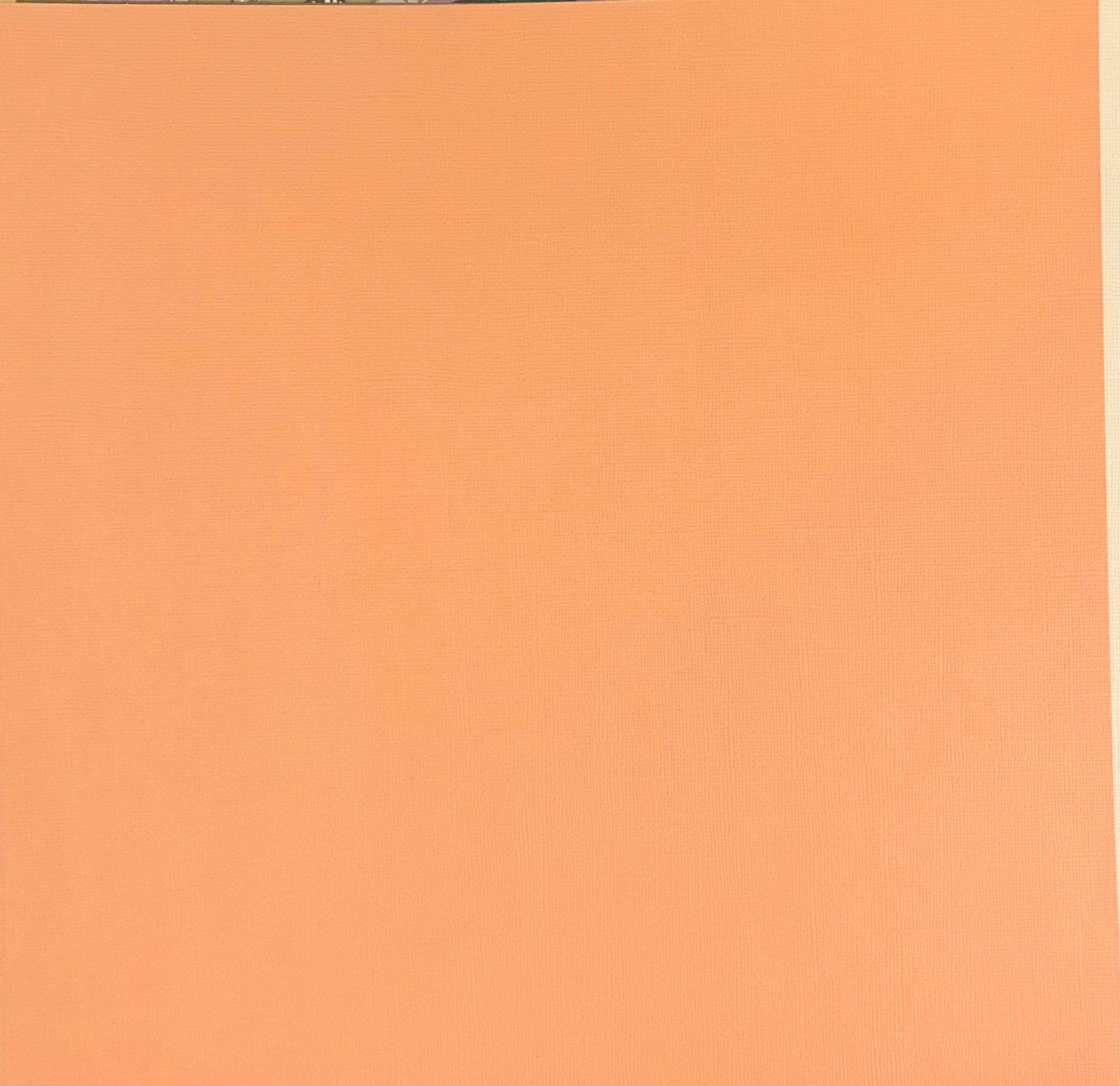 1 Sheet Orange Scrapbook Paper Etsy