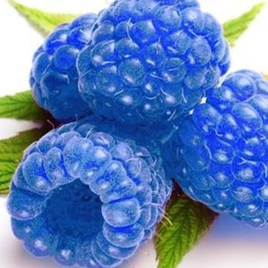 Cera caseira com aroma de framboesa azul