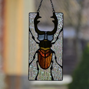 Stained glass window hanging Stag beetle suncather Glass bug Stain glass pendant Gift for him Wall decor Window sun catcher Nature style image 5