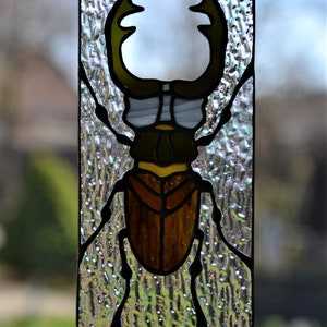 Stained glass window hanging Stag beetle suncather Glass bug Stain glass pendant Gift for him Wall decor Window sun catcher Nature style image 6