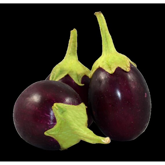 Eggplant Black Tasty Natural Healthy Nutritious Vegetable Garden Seeds 100 PCS
