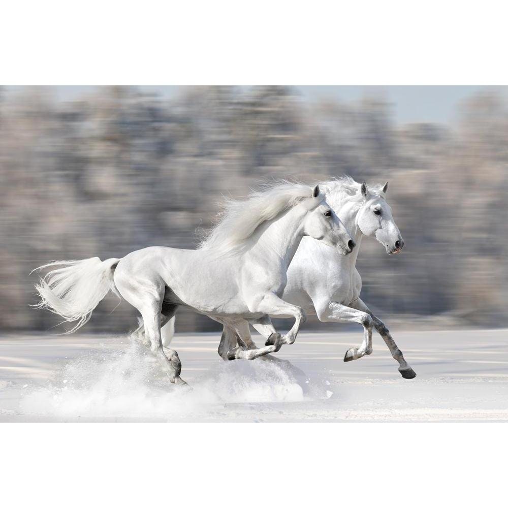 Horses Wall Art Large Running Horses White Horses Canvas Print Etsy