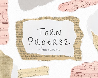 Torn Paper II Clipart Set | Transparent PNG Files | Marketing Material | Social Media | Commercial Use