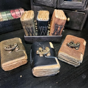 May include: A collection of miniature leather-bound journals in various shades of brown and black. Each journal features aged paper pages and a metal clasp closure. Some journals are grouped in a metal container, while others are displayed individually.