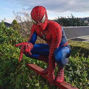 Op de afbeelding: Een persoon gekleed als Spider-Man in een rood en blauw kostuum met een zwart spinnenwebontwerp. De persoon hurkt op een houten hek met groen gebladerte op de achtergrond.