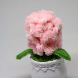 May include: A pink pipe cleaner flower in a white pot with a lace trim. The flower is made of fluffy pink pipe cleaners and has green pipe cleaner leaves.