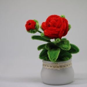 May include: A small potted plant with red fuzzy flowers and green fuzzy leaves. The pot is white with a lace trim.
